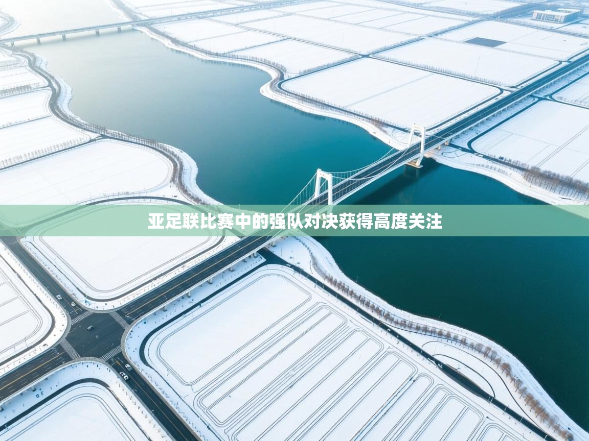 亚足联比赛中的强队对决获得高度关注 第2张