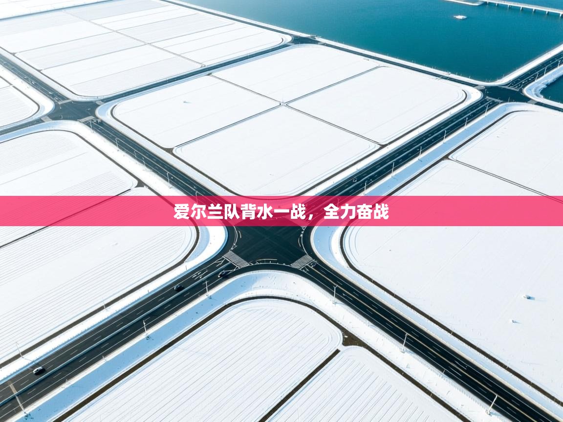 爱尔兰队背水一战,全力奋战