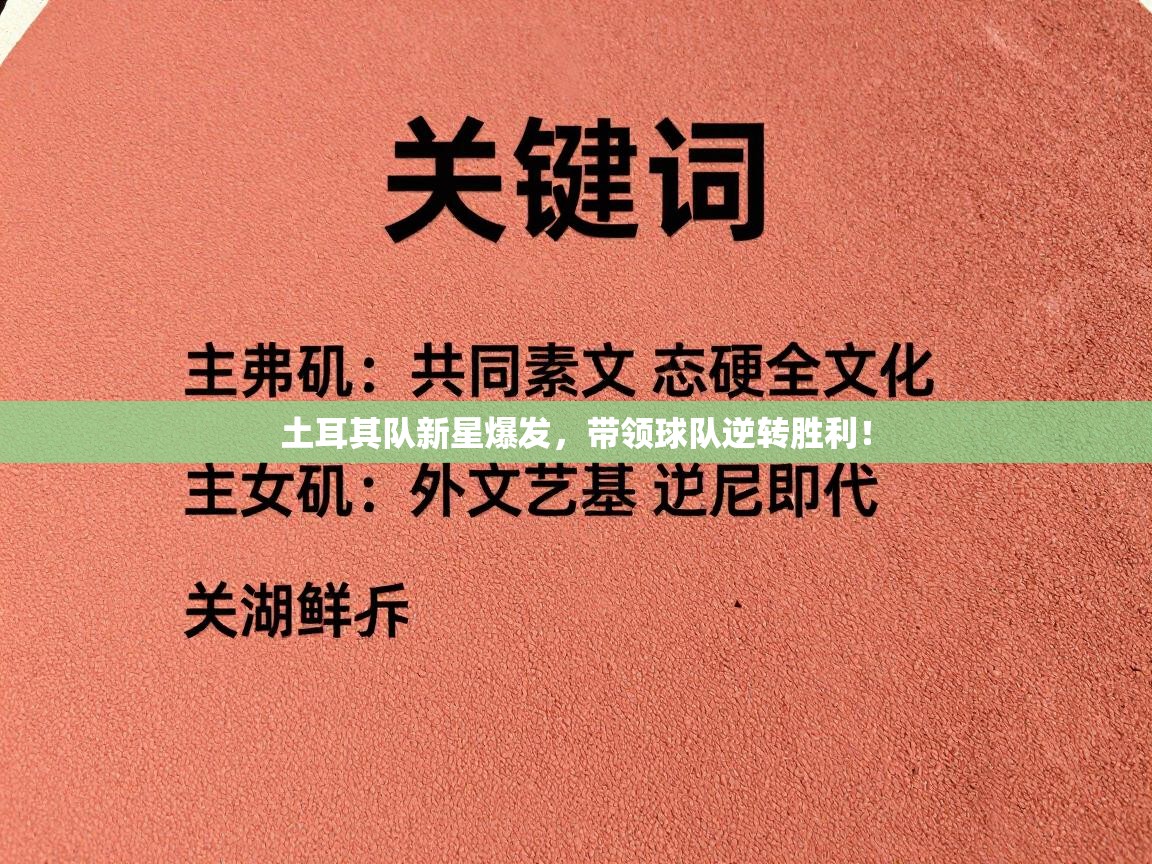 土耳其队新星爆发，带领球队逆转胜利！  第2张
