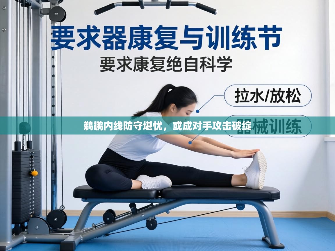 鹈鹕内线防守堪忧,或成对手攻击破绽 第2张