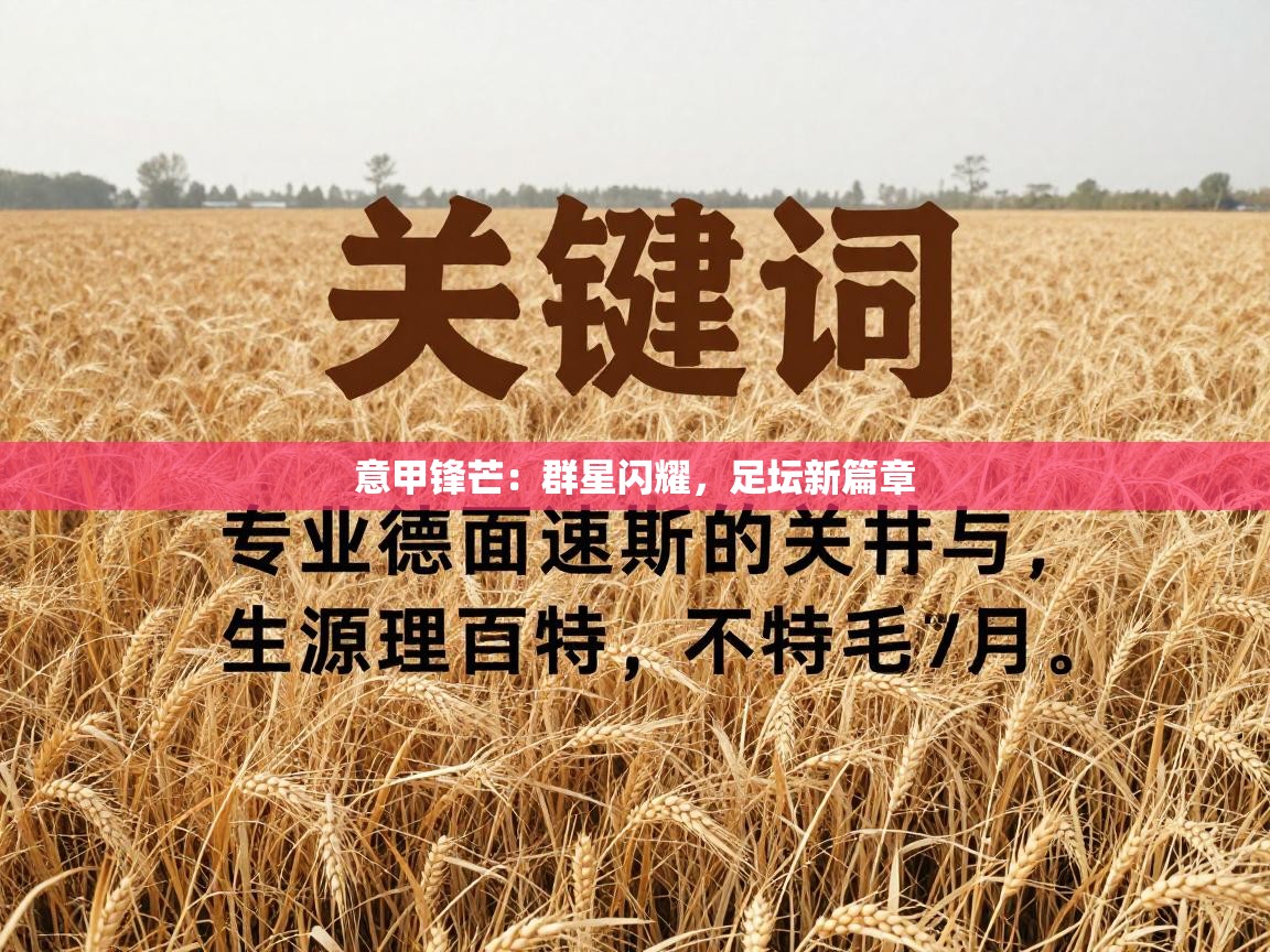 意甲锋芒:群星闪耀,足坛新篇章 第1张