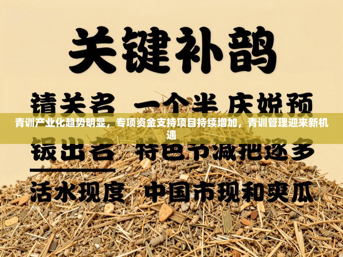 青训产业化趋势明显,专项资金支持项目持续增加,青训管理迎来新机遇 第1张