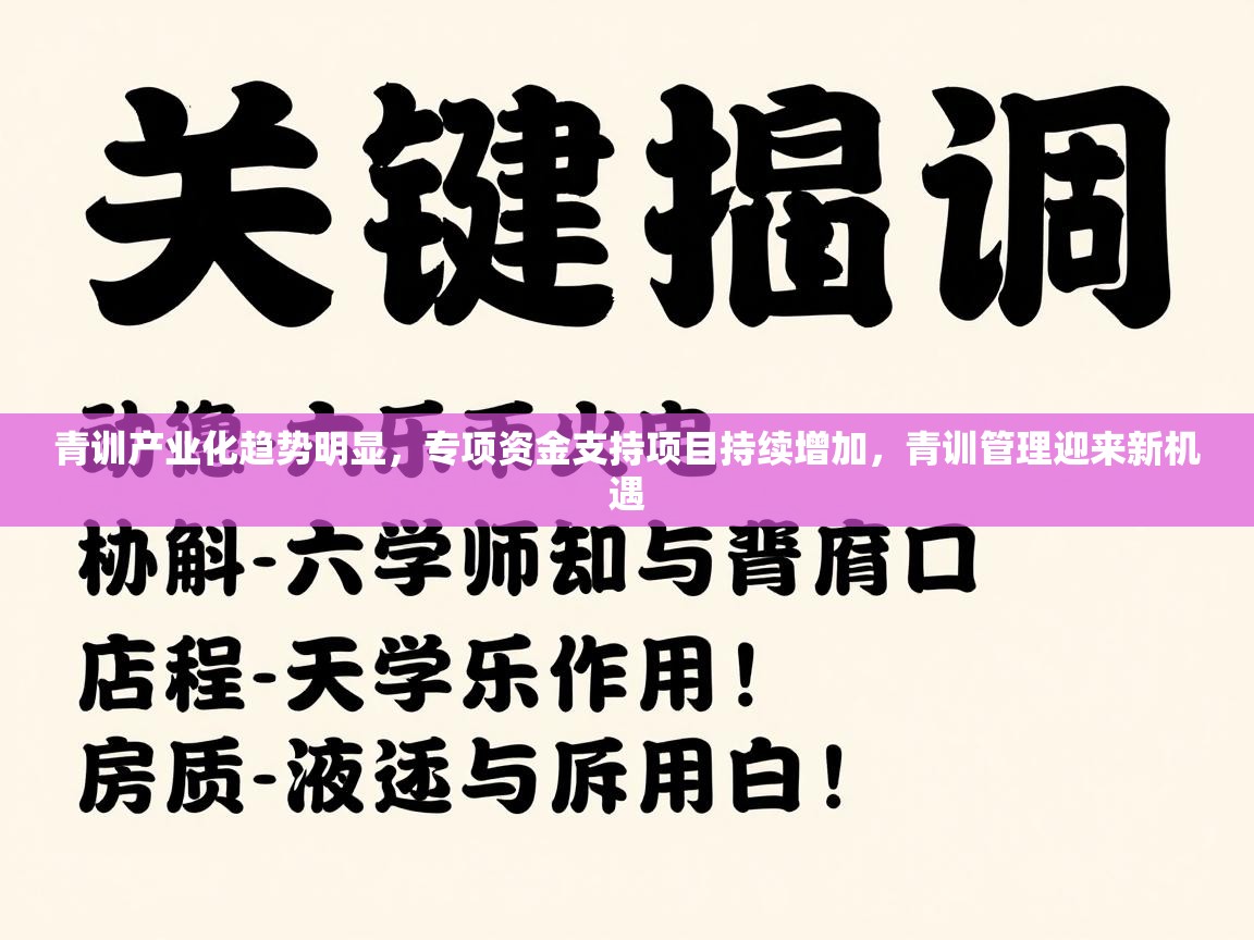 青训产业化趋势明显,专项资金支持项目持续增加,青训管理迎来新机遇 第2张